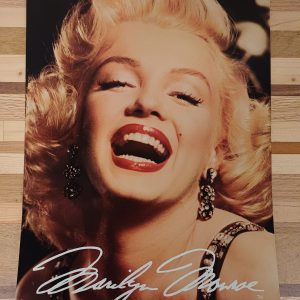 Metaalplaat van Marilyn Monroe