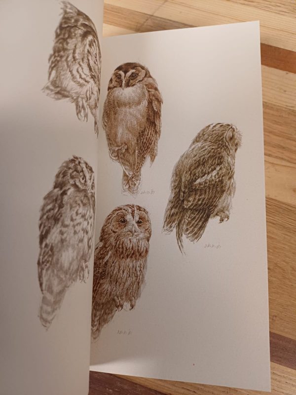 333 Birds - Peter Vos - Afbeelding 6