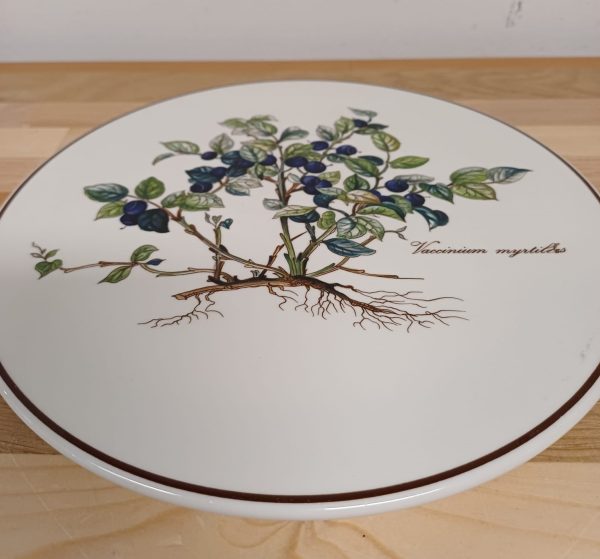Villeroy en Boch - Botanica onderzetter - Afbeelding 2