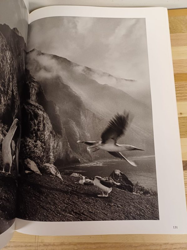 Genesis - Sebastião Salgado - Afbeelding 5