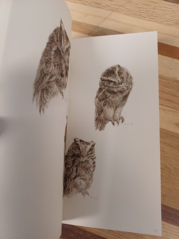 333 Birds - Peter Vos - Afbeelding 4