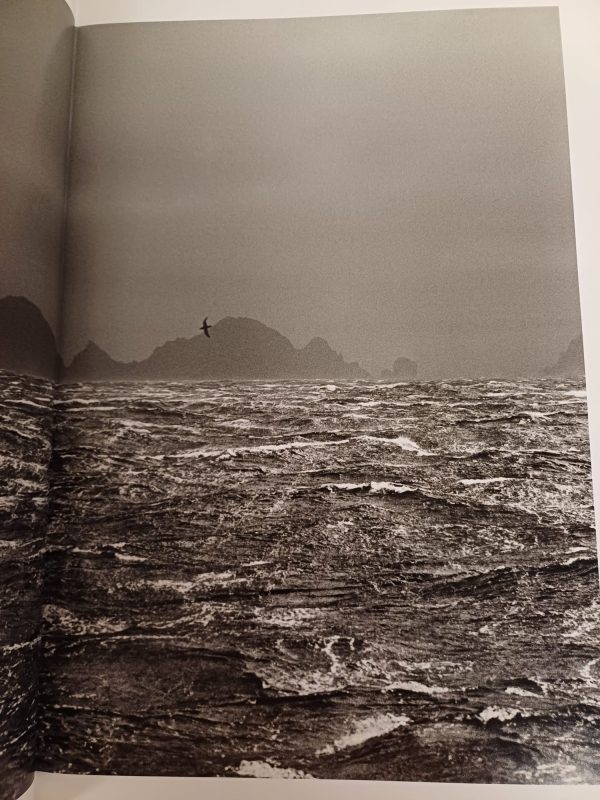 Genesis - Sebastião Salgado - Afbeelding 11