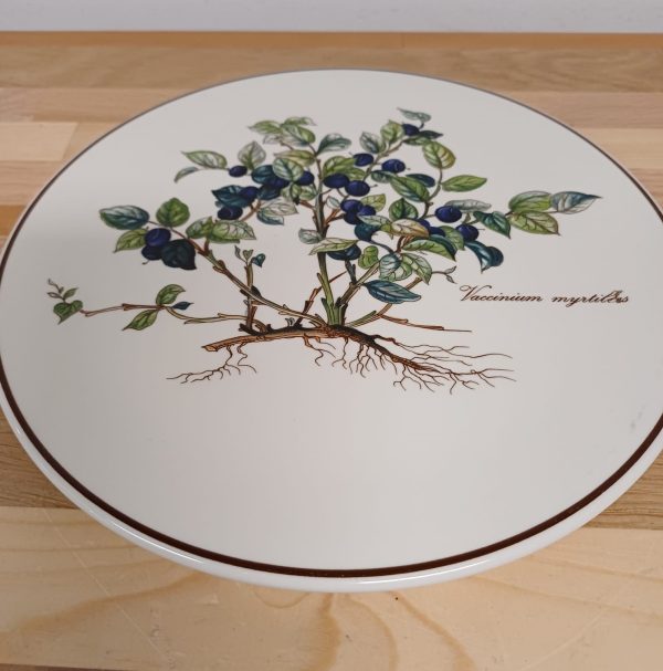 Villeroy en Boch - Botanica onderzetter - Afbeelding 3