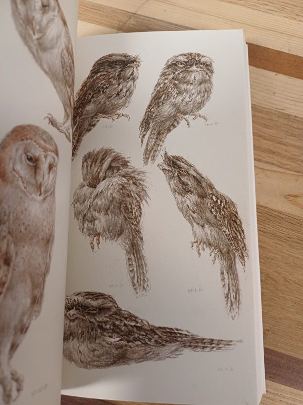 333 Birds - Peter Vos - Afbeelding 7