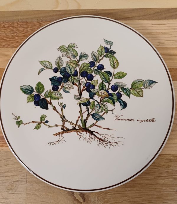 Villeroy en Boch - Botanica onderzetter - Afbeelding 5