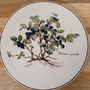 Villeroy en Boch - Botanica onderzetter