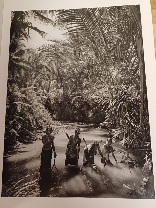 Genesis - Sebastião Salgado - Afbeelding 7