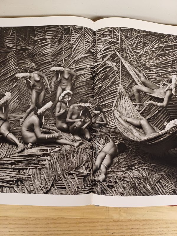 Genesis - Sebastião Salgado - Afbeelding 8
