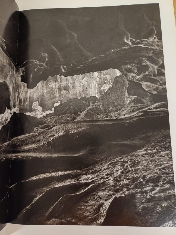 Genesis - Sebastião Salgado - Afbeelding 4