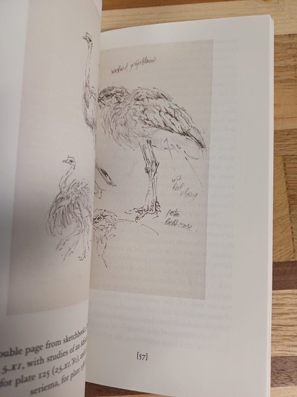 333 Birds - Peter Vos - Afbeelding 3