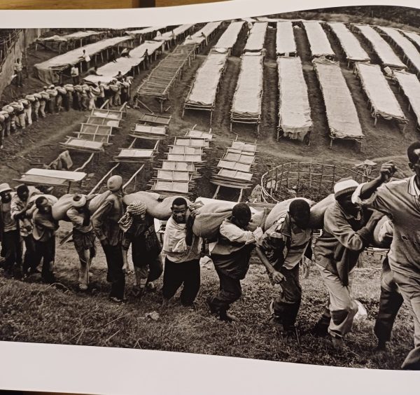 Africa - Sebastião Salgado - Afbeelding 9