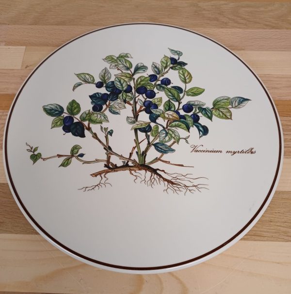 Villeroy en Boch - Botanica onderzetter - Afbeelding 6