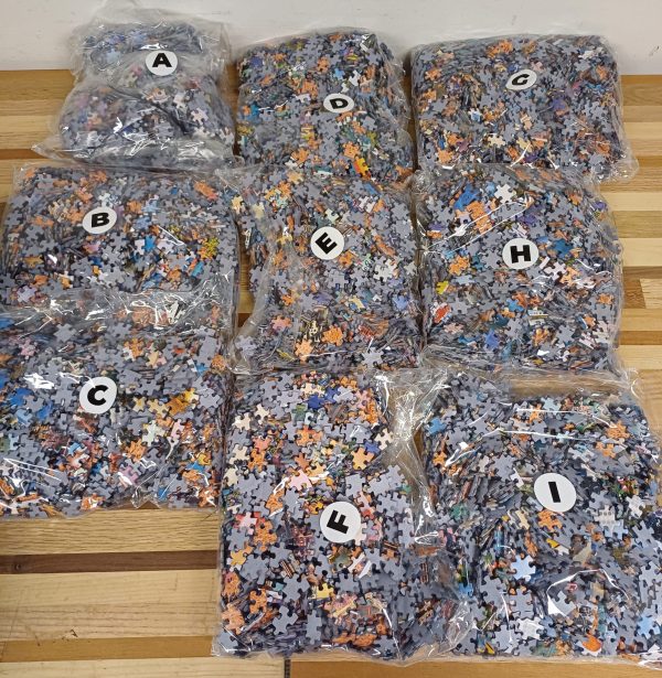 The Journey Of Thousand Miles Puzzel 13500 stukjes nog nieuw - Afbeelding 10