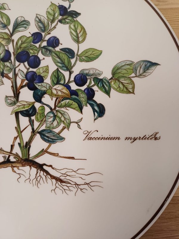 Villeroy en Boch - Botanica onderzetter - Afbeelding 7