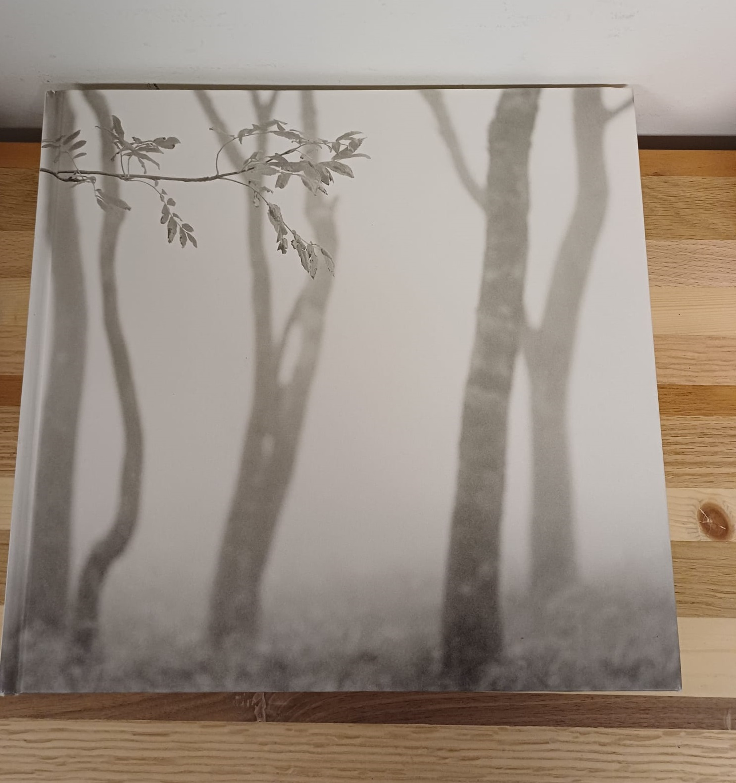 Forms of Japan – Michael Kenna