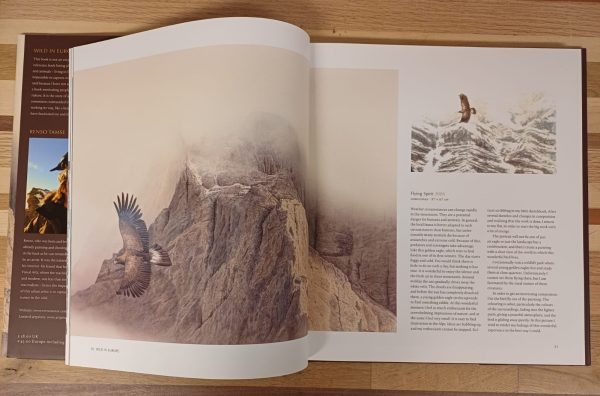Wild in Europe - Art by Renso Tamse - Afbeelding 3