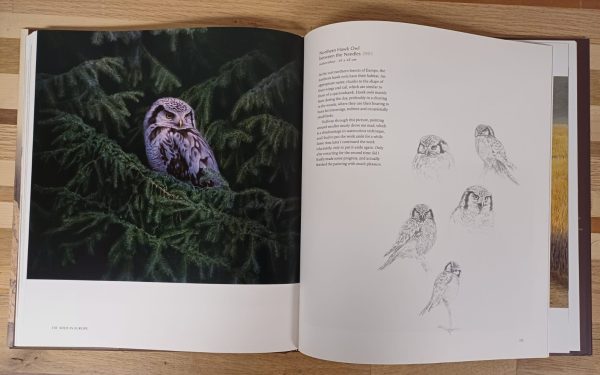 Wild in Europe - Art by Renso Tamse - Afbeelding 5