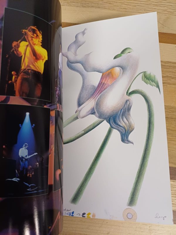 Is there anybody out there? - Pink Floyd - Limited edition - Afbeelding 3