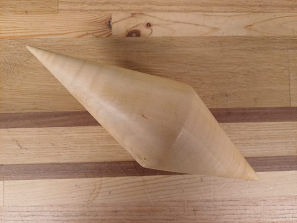 Aescules hippocastanun Prinsenhof - kastanje boom - geschenk - Afbeelding 10