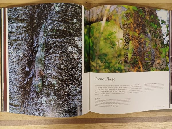 Concepts of Nature - Afbeelding 6