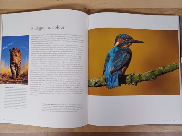 Concepts of Nature - Afbeelding 8