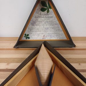 Aescules hippocastanun Prinsenhof - kastanje boom - geschenk