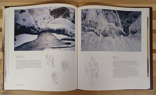 Wild in Europe - Art by Renso Tamse - Afbeelding 7