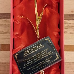 Gouden roos - gedipt in 24 karaat goud