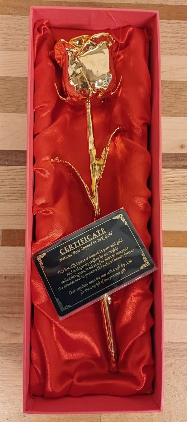 Gouden roos - gedipt in 24 karaat goud