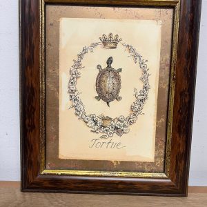 Schilderij van Kathryn White Tortue - Schildpad