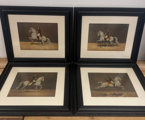 Set van 4 zijden litho's Josef Plank Lippizzaner Hengsten