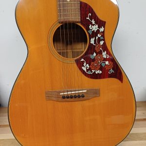 Gitaar - Roderich Paesold