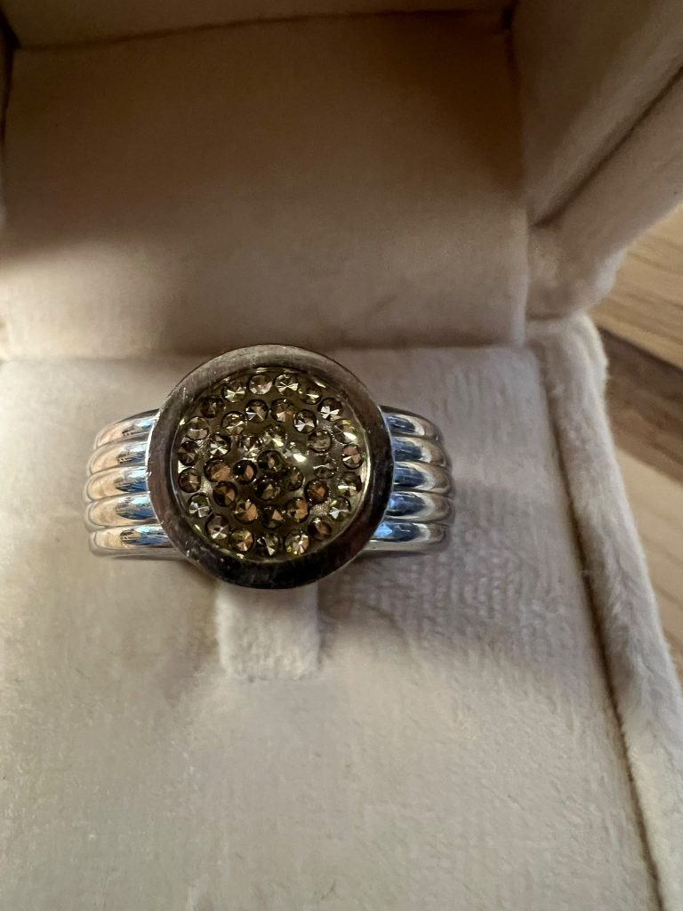Melano ring staal met verwisselbare bovenkant maat 58