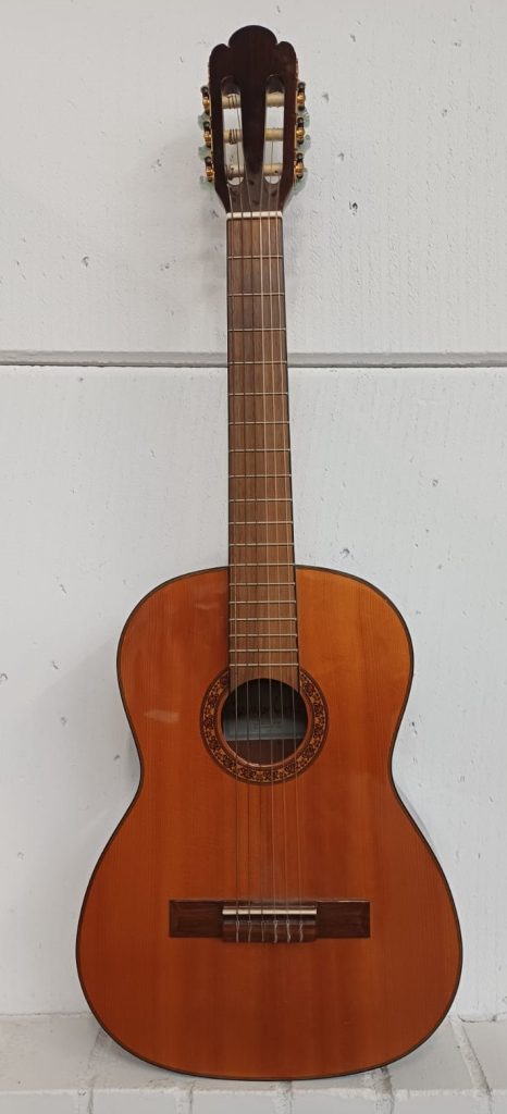 Salvador Cortez SCG-534 gitaar