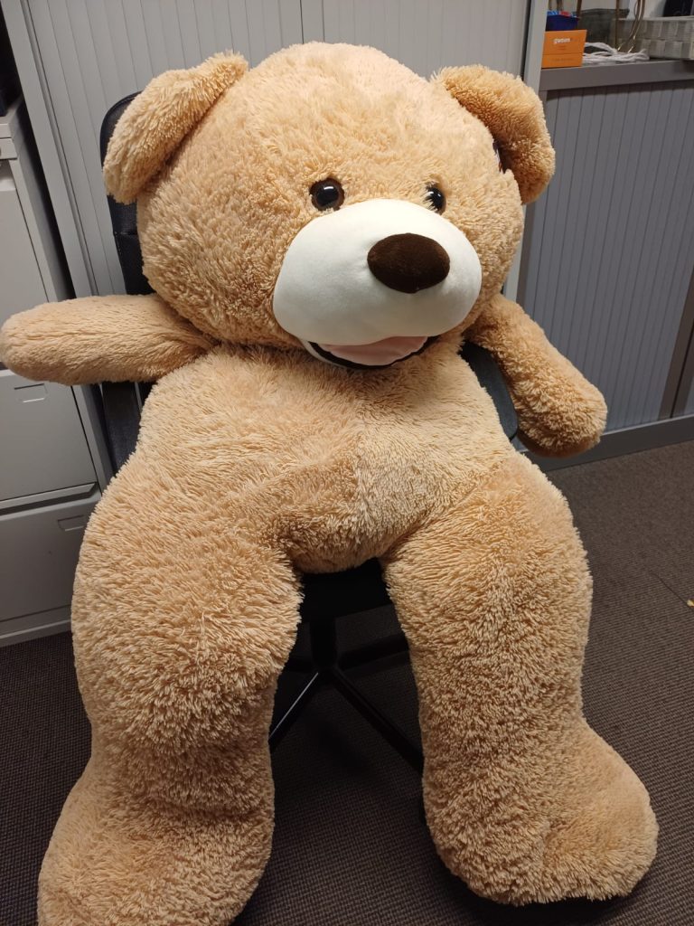 Grote Teddybeer XXL - 160 cm - Mikamax